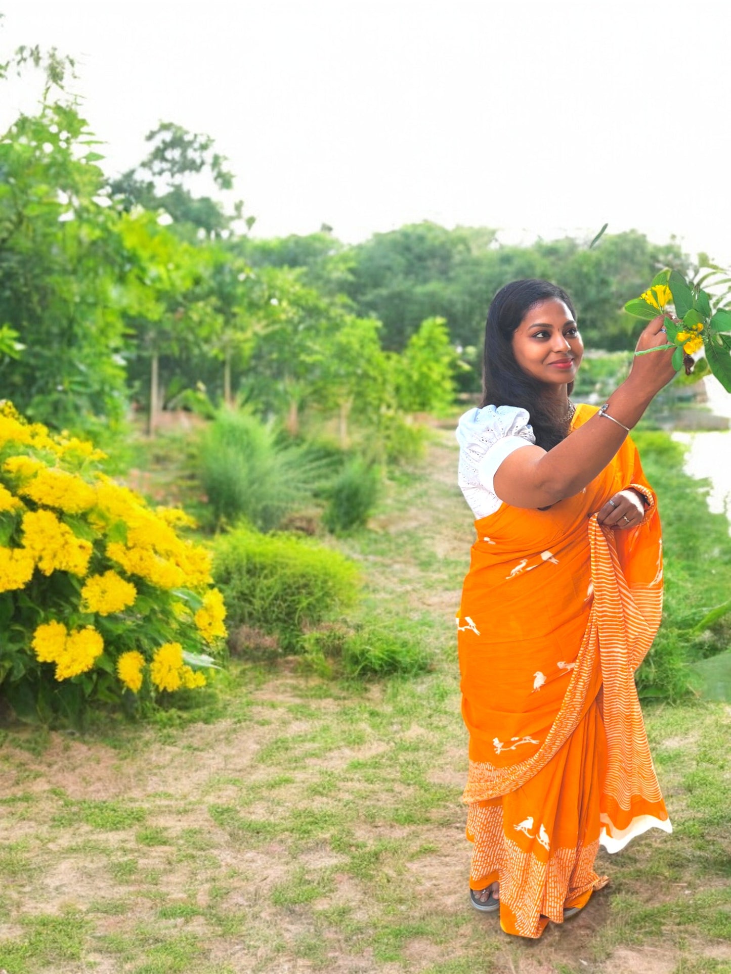 Yellow bird print mul mul cotton saree