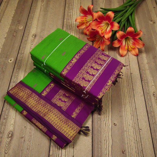 Light green with purple border kalyani cotton saree